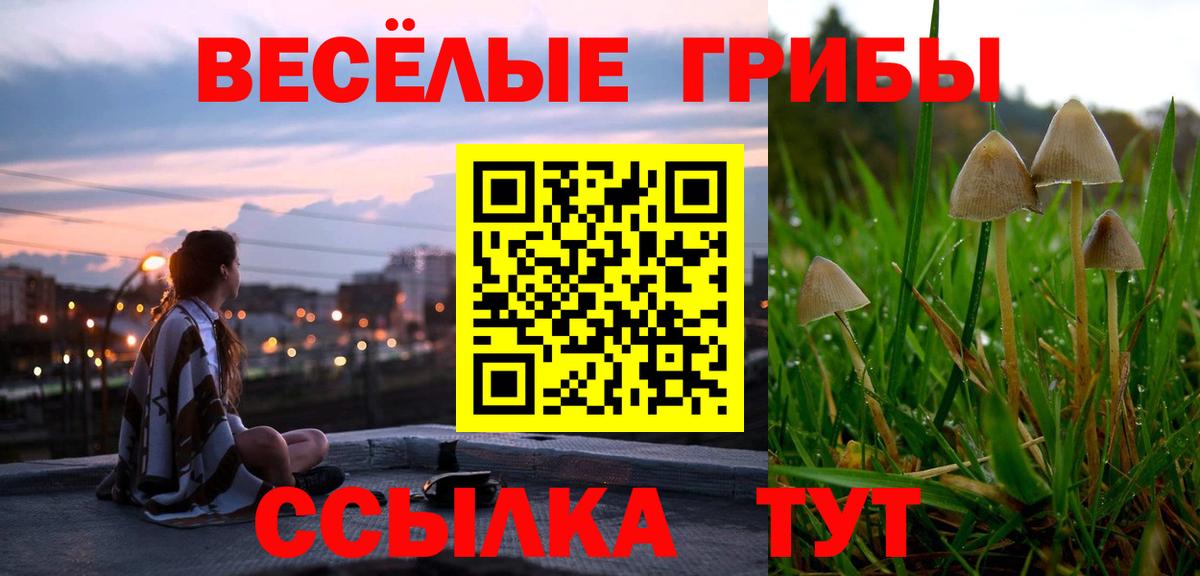 купить наркотик  Галлюциногенные грибы Psilocybine cubensis  Вход с VPN  Железноводск 