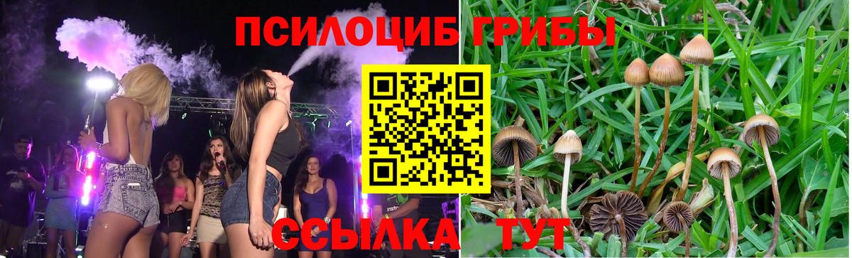Псилоцибиновые грибы MAGIC MUSHROOMS Железноводск